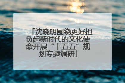 沈晓明围绕更好担负起新时代的文化使命开展“十五五”规划专题调研