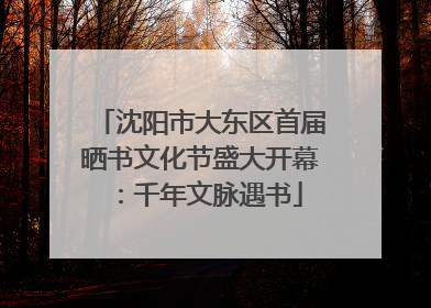 沈阳市大东区首届晒书文化节盛大开幕：千年文脉遇书