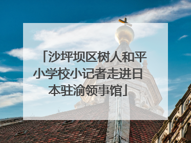 沙坪坝区树人和平小学校小记者走进日本驻渝领事馆