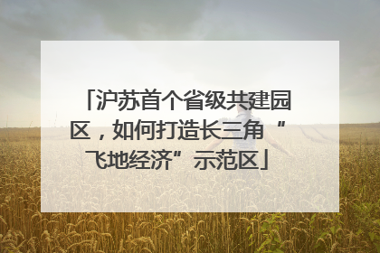沪苏首个省级共建园区，如何打造长三角“飞地经济”示范区