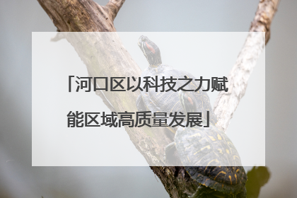 河口区以科技之力赋能区域高质量发展