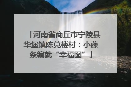河南省商丘市宁陵县华堡镇陈兑楼村：小藤条编就“幸福图”
