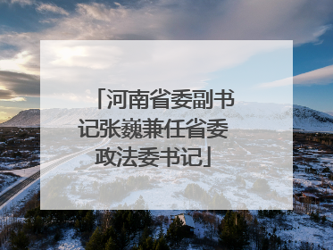河南省委副书记张巍兼任省委政法委书记