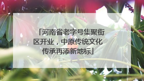 河南省老字号集聚街区开业，中原传统文化传承再添新地标