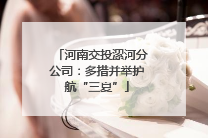 河南交投漯河分公司：多措并举护航“三夏”