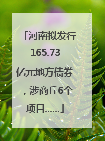 河南拟发行165.73亿元地方债券，涉商丘6个项目……