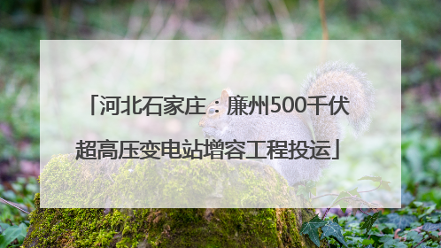 河北石家庄：廉州500千伏超高压变电站增容工程投运
