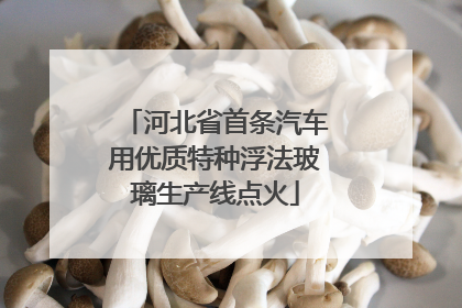 河北省首条汽车用优质特种浮法玻璃生产线点火
