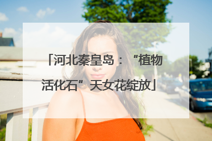 河北秦皇岛：“植物活化石”天女花绽放