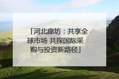 河北廊坊：共享全球市场 共探国际采购与投资新路径