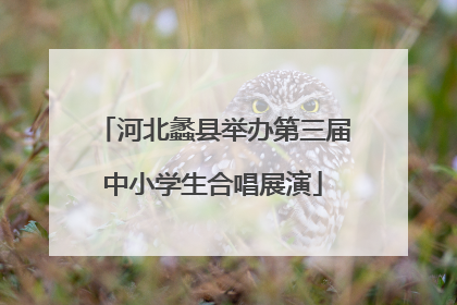 河北蠡县举办第三届中小学生合唱展演