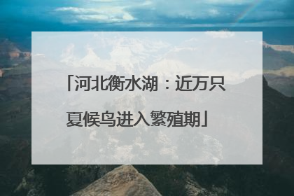河北衡水湖：近万只夏候鸟进入繁殖期