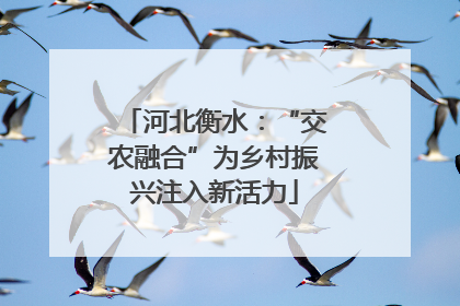 河北衡水：“交农融合”为乡村振兴注入新活力