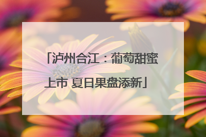 泸州合江：葡萄甜蜜上市 夏日果盘添新
