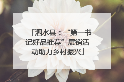 泗水县：“第一书记好品推荐”展销活动助力乡村振兴