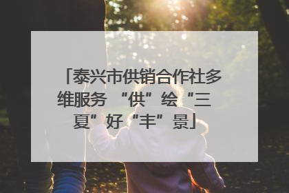 泰兴市供销合作社多维服务 “供”绘“三夏”好“丰”景