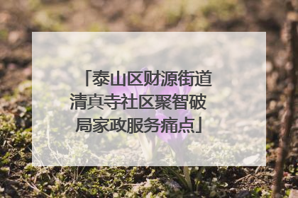 泰山区财源街道清真寺社区聚智破局家政服务痛点