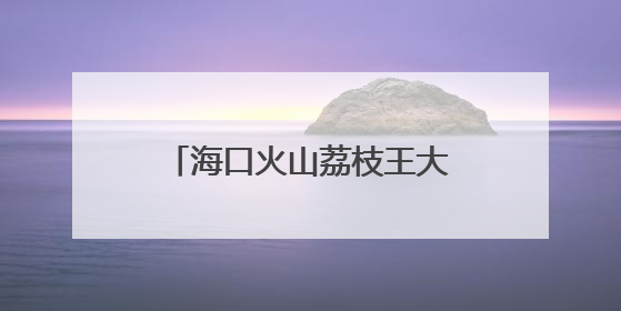 海口火山荔枝王大比拼 单颗拍卖出6.8万元高价