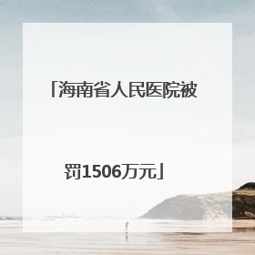 海南省人民医院被罚1506万元
