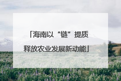 海南以“链”提质 释放农业发展新动能