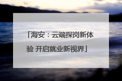 海安：云端探岗新体验 开启就业新视界