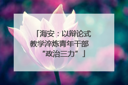 海安：以辩论式教学淬炼青年干部“政治三力”