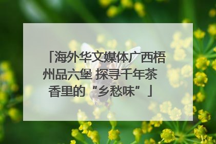 海外华文媒体广西梧州品六堡 探寻千年茶香里的“乡愁味”