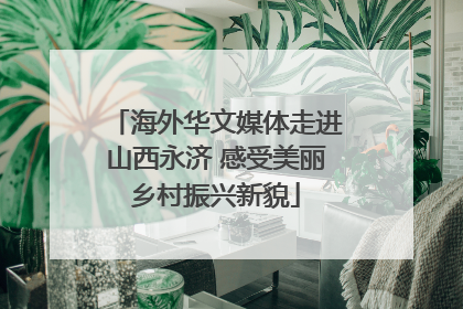 海外华文媒体走进山西永济 感受美丽乡村振兴新貌