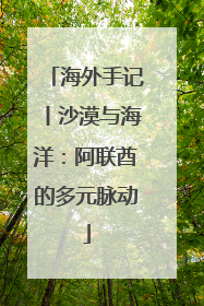 海外手记丨沙漠与海洋：阿联酋的多元脉动