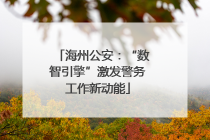 海州公安：“数智引擎”激发警务工作新动能