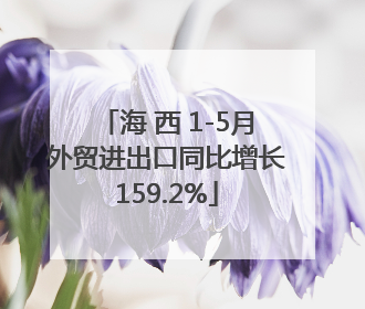 海 西 1-5月外贸进出口同比增长159.2%