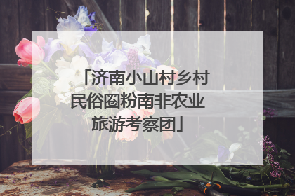 济南小山村乡村民俗圈粉南非农业旅游考察团
