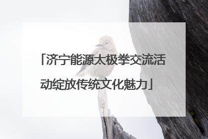 济宁能源太极拳交流活动绽放传统文化魅力