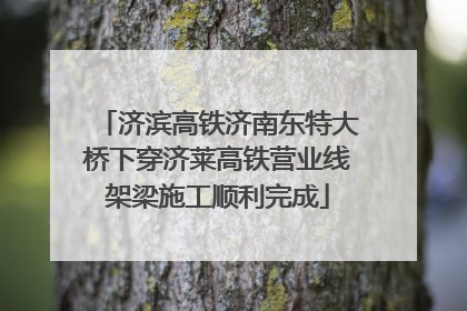 济滨高铁济南东特大桥下穿济莱高铁营业线架梁施工顺利完成