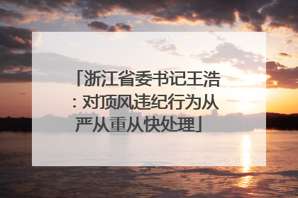 浙江省委书记王浩：对顶风违纪行为从严从重从快处理