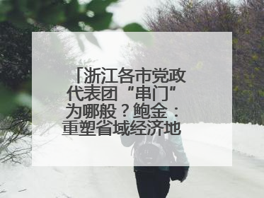 浙江各市党政代表团“串门”为哪般？鲍金：重塑省域经济地理的破题之道