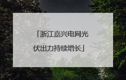 浙江嘉兴电网光伏出力持续增长