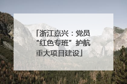 浙江嘉兴：党员“红色专班”护航重大项目建设