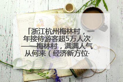 浙江杭州梅林村，一年接待游客超5万人次——梅林村，满满人气从何来（经济新方位·农村消费观察）