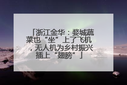 浙江金华：婺城蔬菜也“坐”上了飞机，无人机为乡村振兴插上“翅膀”