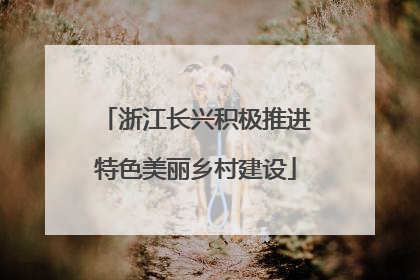 浙江长兴积极推进特色美丽乡村建设