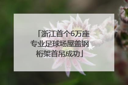 浙江首个6万座专业足球场屋盖钢桁架首吊成功