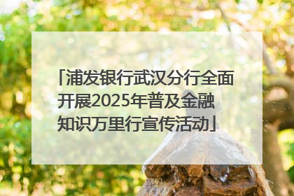 浦发银行武汉分行全面开展2025年普及金融知识万里行宣传活动