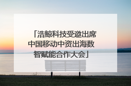 浩鲸科技受邀出席中国移动中资出海数智赋能合作大会