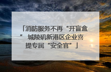 消防服务不再“开盲盒” 城陵矶新港区企业喜提专属“安全官”