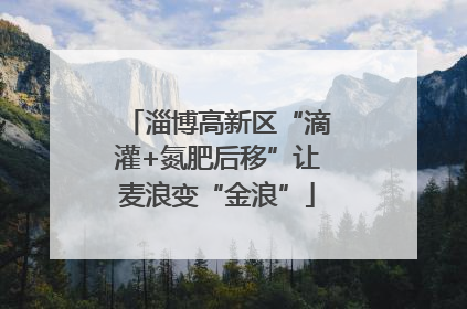 淄博高新区“滴灌+氮肥后移”让麦浪变“金浪”