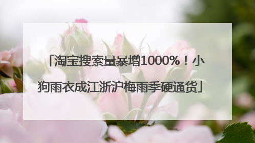 淘宝搜索量暴增1000%！小狗雨衣成江浙沪梅雨季硬通货