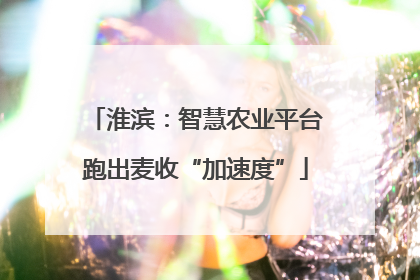 淮滨：智慧农业平台跑出麦收“加速度”