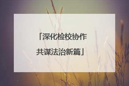 深化检校协作 共谋法治新篇