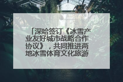 深哈签订《冰雪产业友好城市战略合作协议》，共同推进两地冰雪体育文化旅游高质量发展